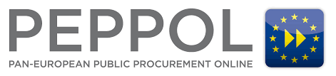 Facturation via PEPPOL 100 factures / mois